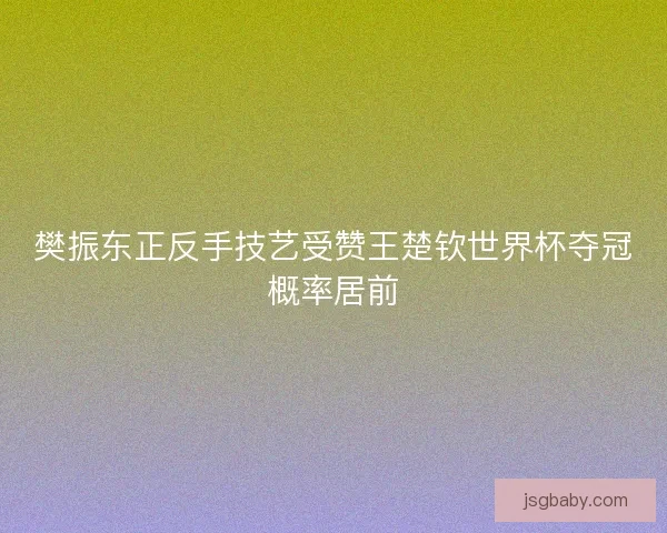 樊振东正反手技艺受赞王楚钦世界杯夺冠概率居前